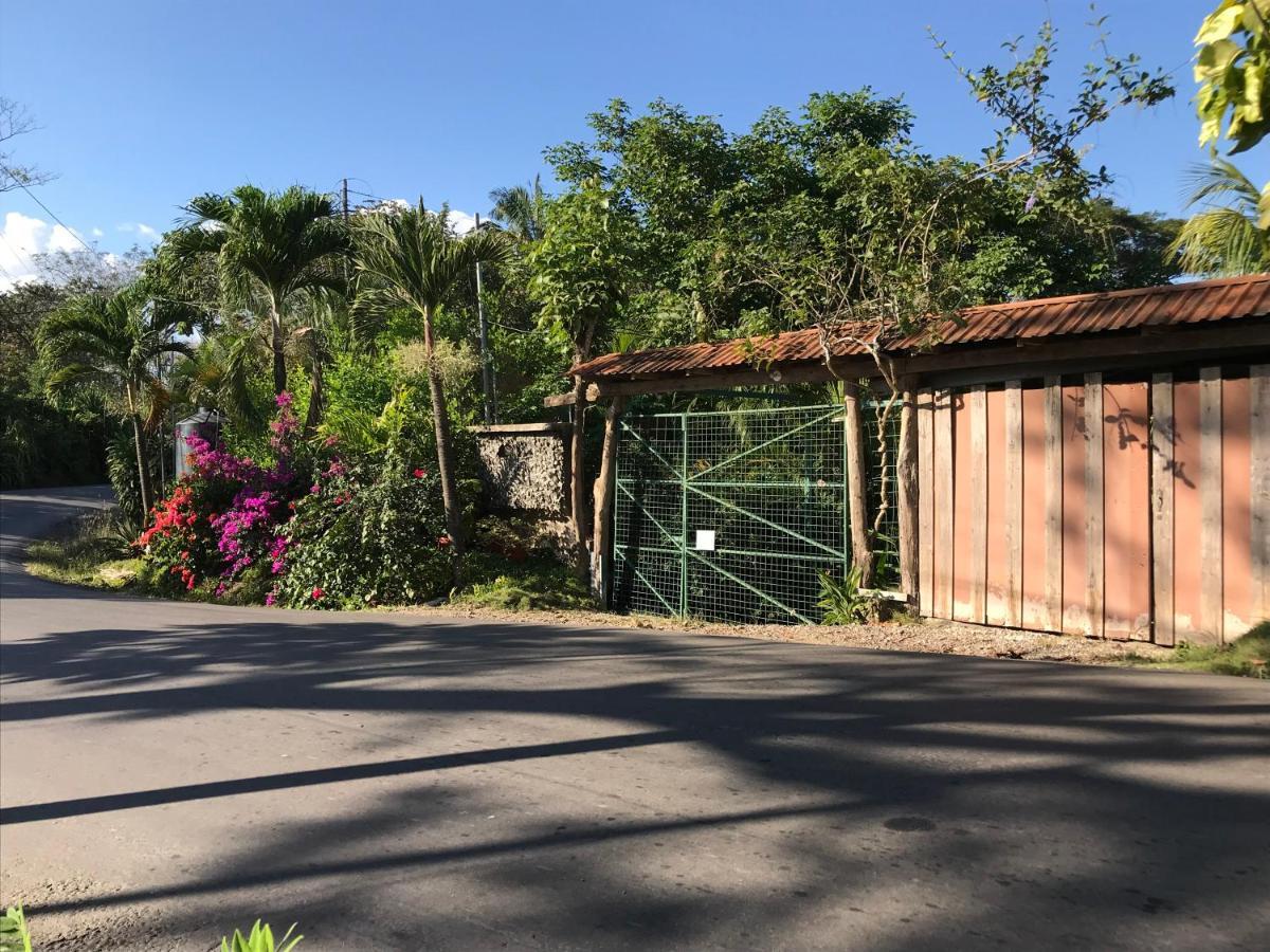Flor De Paraiso Bungalows Montezuma Exteriör bild