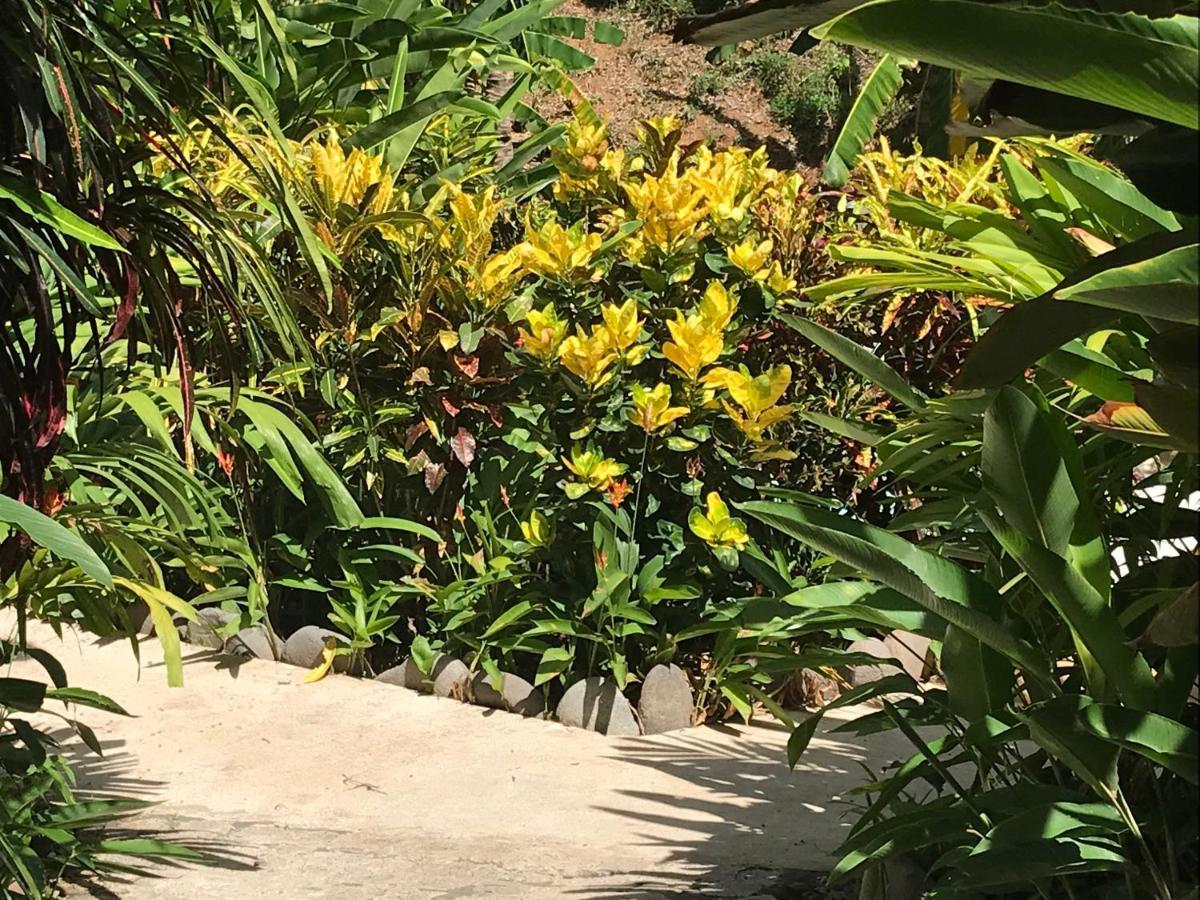 Flor De Paraiso Bungalows Montezuma Exteriör bild